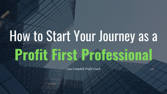 Profit First, Profit First professional,